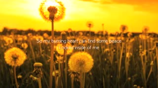 Led apple _ Let the wind blow