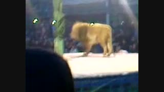 شهادت امام حسین ع