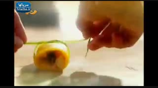 خانواده کیم چی - قسمت ۲۰