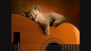گیتار - Concierto de Aranjuez