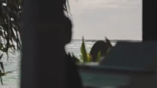 ThePianoGuys-What Are Words - ft. Peter & Evynne Hollens