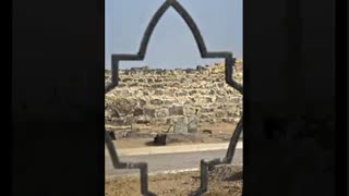 میثم مطیعی-بقیع