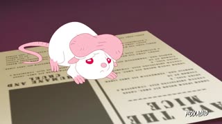 آزمایش روی حیوانات ممنوع!