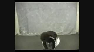 یه حرکت جالب ورزشی