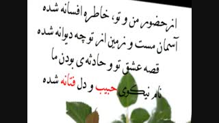 کلیپ عاشقانه