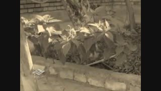 فیلم به زبان سمنانی