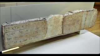 گردش در موزه