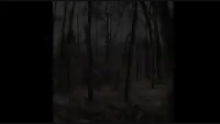 ترسناک ترین تصویری که تاحالا از روح ثبت شده