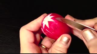 درست کردن گل شکوفه ای با تربچه