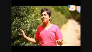 صلوات تمام موجودات بر محمد و آل محمد(صلی الله علیه و آله)