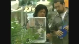 آبی  گوارا  با  طعم  قورباقه