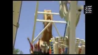 بی احترامی من وتو یک  به مایکل جکسن