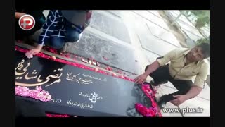 تولد مرتضی پاشایی