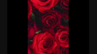 واییی توضیحات مهمه بچه ها!دارن کانال ها رو فیلتر میکنن.توی توضیحات یه راه حل نوشتم زود برید بخونید