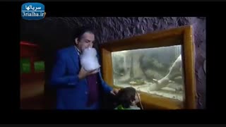 شمعدونی - قسمت 42