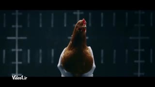 10 اگهی برتر ماشین