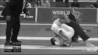 جوجیتسو برزیلی 2 - مندس بروس