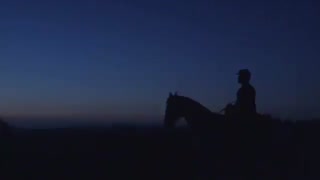 تریلر رسمی فیلم The Hateful Eight