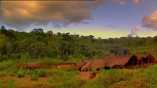 Isolated - Now in High Quality!