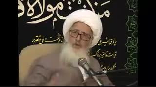 سخنان آیت اللّه وحید در مورد امیرالمؤمین علیه السلام