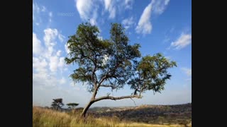 مستند پیدایش قاره ها با دوبله فارسی - آفریقا