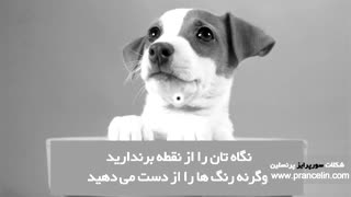 پنج خطای دید جالب
