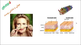 ژل رویال چیست و چه خواصی دارد؟