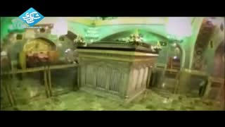 نماهنگ زیبای امام رضا با صدای حامد زمانی و عبدالرضا هلالی