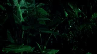 تیزرجدید گروهsix higher days 2pm