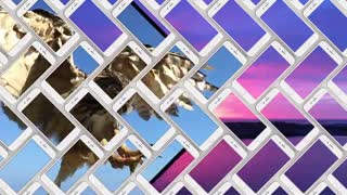 ویدیو جدید تبلیغاتی اپل : Photos & Videos