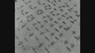 هیتلر _نمایش