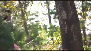 یه قسمت از ایمان....تقدیم به نیلوفر عزیزم