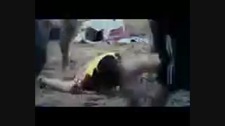 سونامی ژاپن منتشر شده سایت قادری