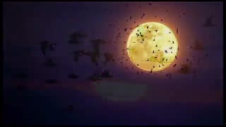 دکلمه سلام ای پرنده ها