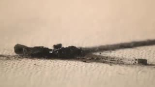 سریال لطیفه - قسمت 49 (زبان اصلی) - درخواستی شهره جان