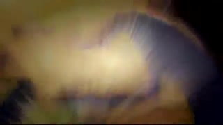 باربی فشن 2010 به طور کامل