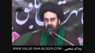 حجت الاسلام و المسلمین حاج سیدمحمد حسین بحرالعلوم میردامادی-مسافرت بسوی خدا واولیای معصومش علیهم السلام-قسمت سیزدهم ارتودنسی