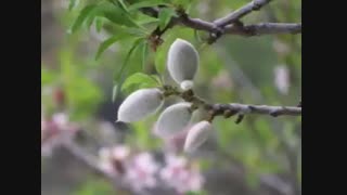 معما توضیحات رو بخونید