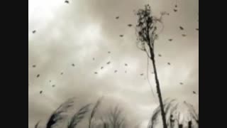 دکلمه : دو در یک : احسان افشاری و علیرضا آذر ehsan-afshari-alireza-azar