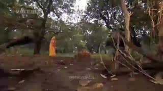 حمله ببر به جلال ...برای  آبجی مونا