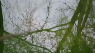 بخشی از سریال چکاوک