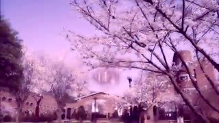 موزیک ویدیوسریال مربای پرتقال وسریال توکی هستی مدرسه ی 2015