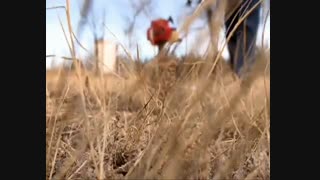 دانلود مستند حوادث شگفت آور با دوبله فارسی - خطر بیخ گوش است