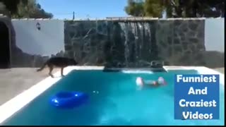 سگی که صاحبش را نجات  می دهد