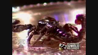 100 رکورد برتر گینس 2008