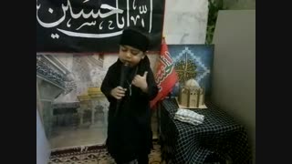 مداحی پویا کوچولو ذاکر خردسال اهلبیت(ع)