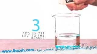 DAN  توت فرنگی