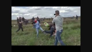 جنجال لگدپرانى فیلمبردار زن مجارستانى به ‏پناهجویان