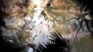 میکس آهنگ Like A Dream از Bonfeel Electro Band