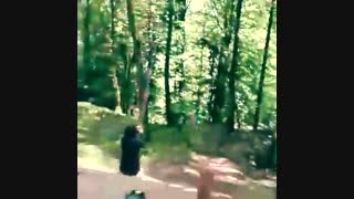 کلیپ بسیار خطرناک از تاب خوردن یوسف زمانی